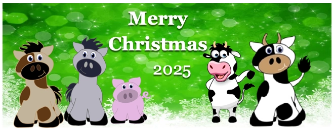 Christmas a USA Holiday 2025