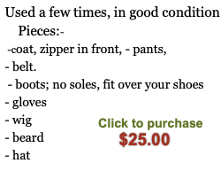 Santa Suit for Sale